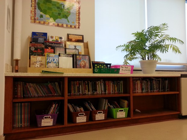 Classroom Library