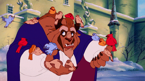 beauty-and-the-beast-birds-disney-Favim.com-368829