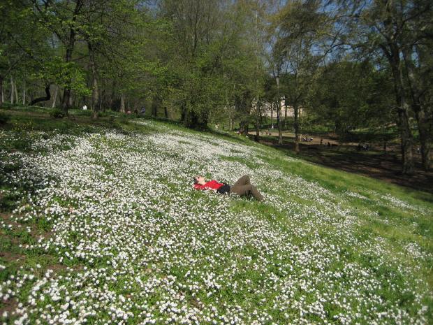 Resting on a flower-speckled hill (not unlike Kate and Domenic in WHEN IN ROME).