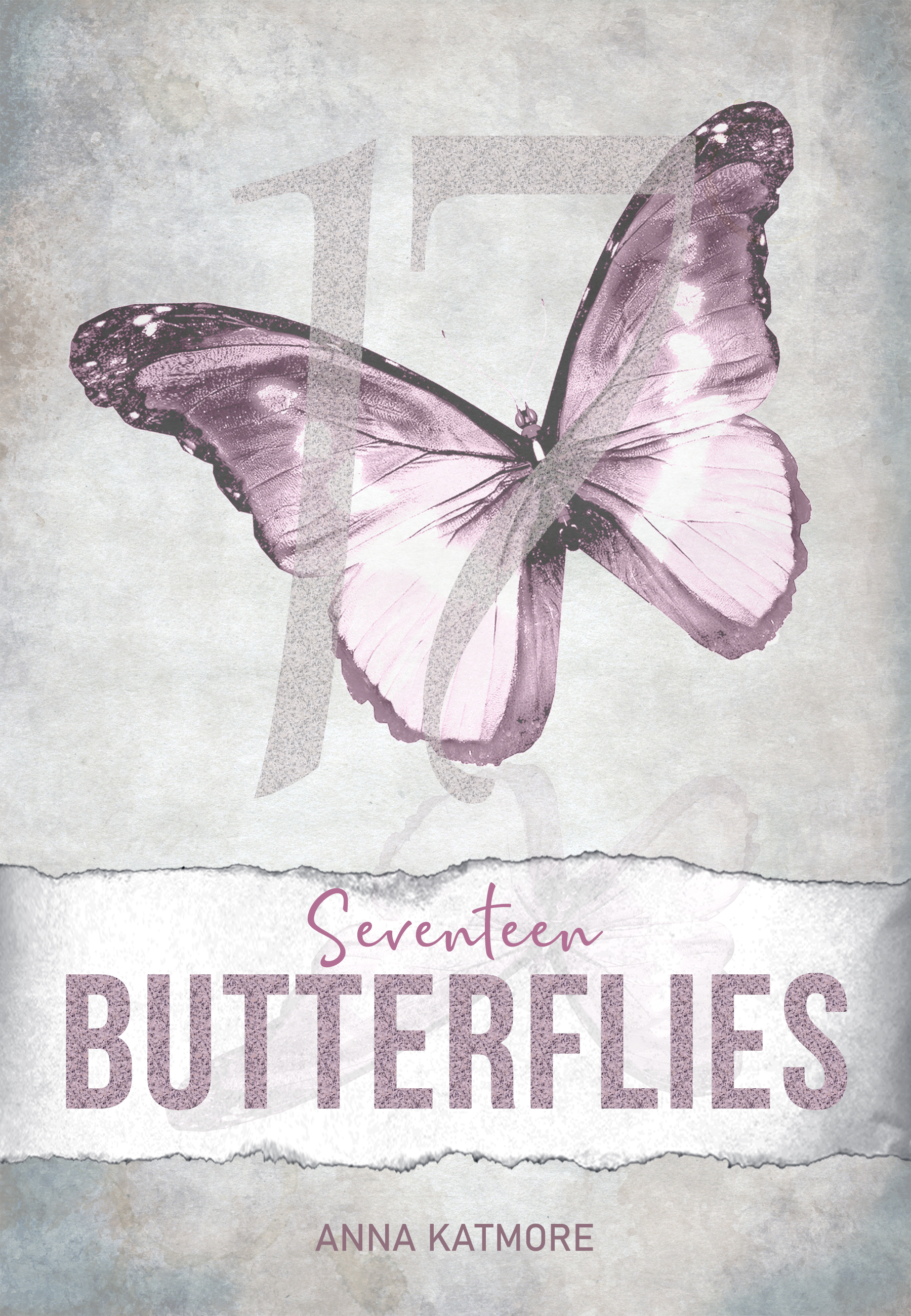 BookCover_SeventeenButterflies